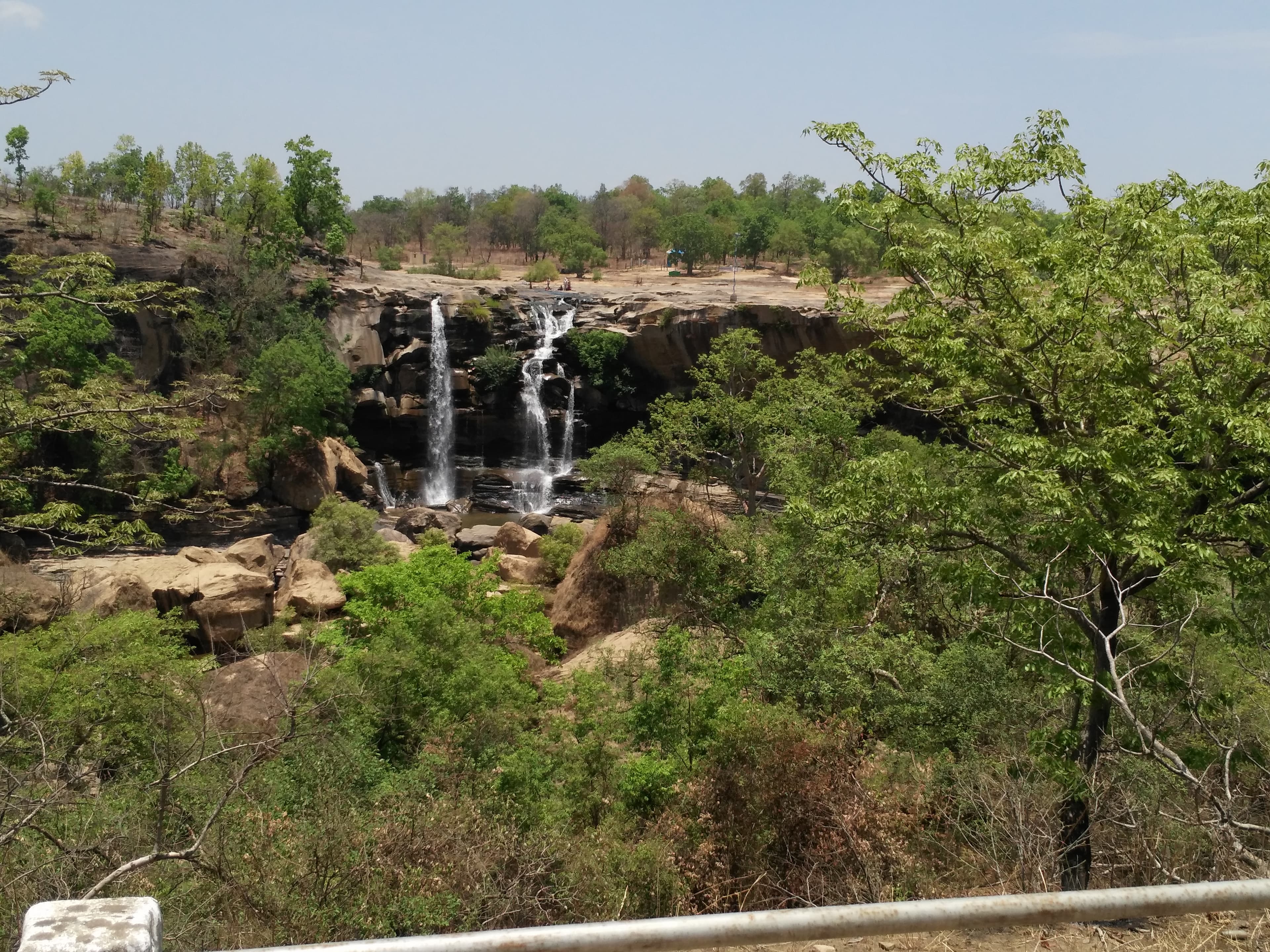 Representative image · Photo: फ़ोटो: Umesh Ratre / Wikimedia Commons, CC BY-SA 4.0
