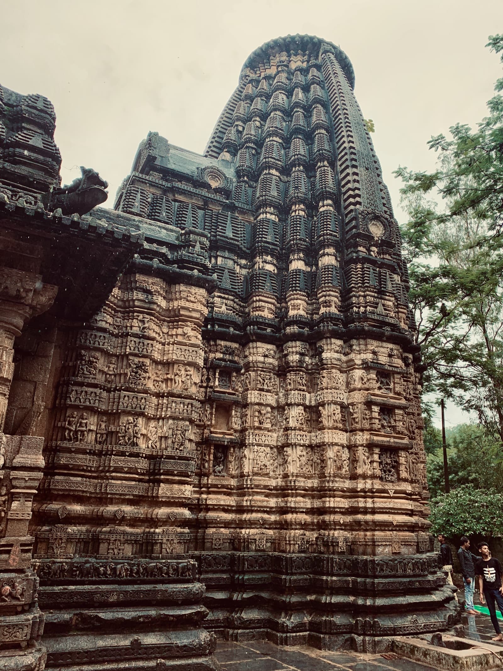Representative image · Photo: फ़ोटो: Ms Sarah Welch / Wikimedia Commons, CC BY-SA 4.0