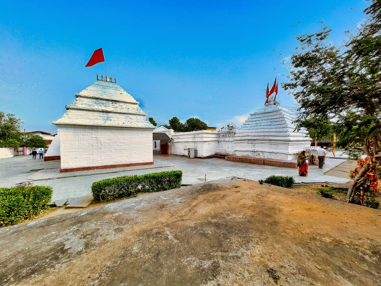 Representative image · Photo: फ़ोटो: Ms Sarah Welch / Wikimedia Commons (CC0)