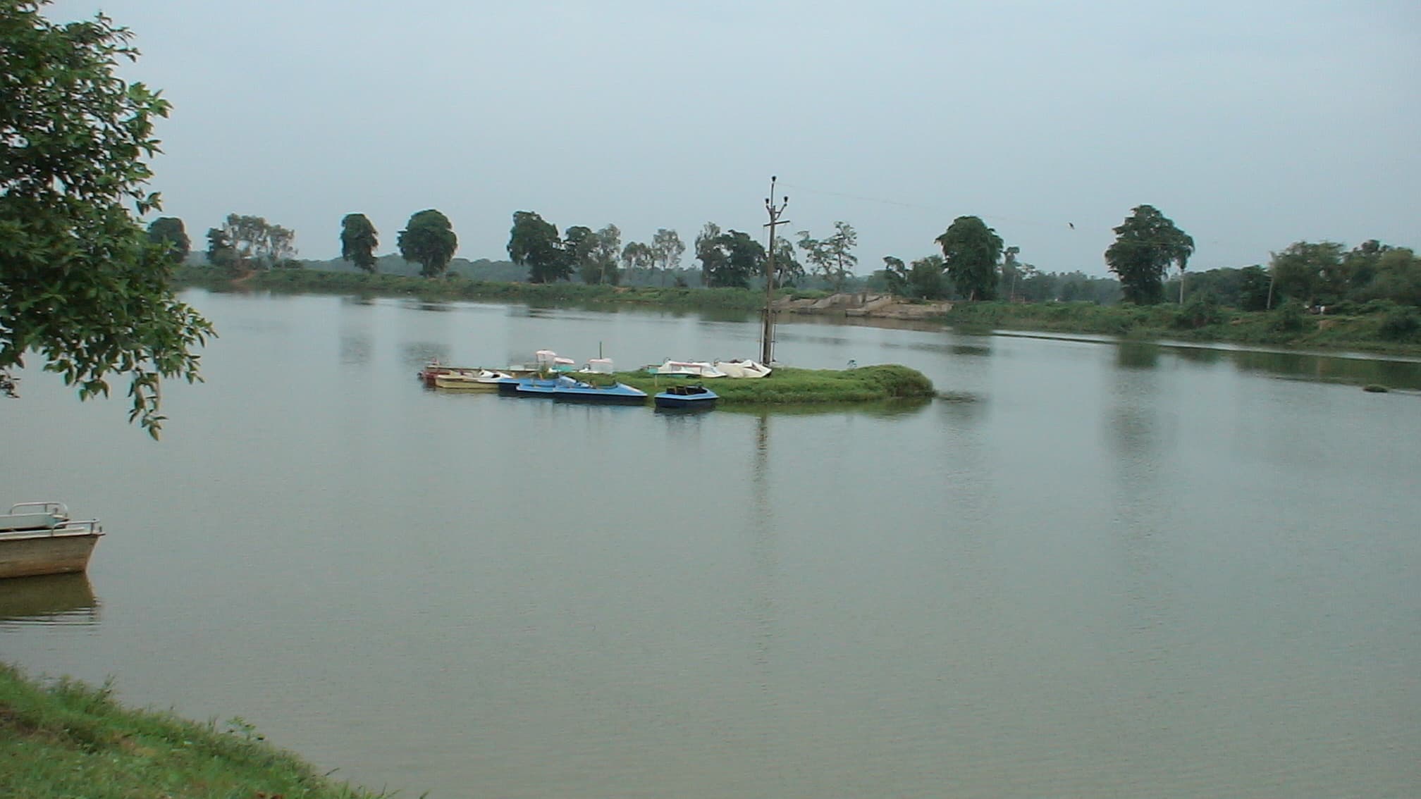 Representative image · Photo: फ़ोटो: Sharada Prasad CS / Wikimedia Commons (CC BY 2.0)