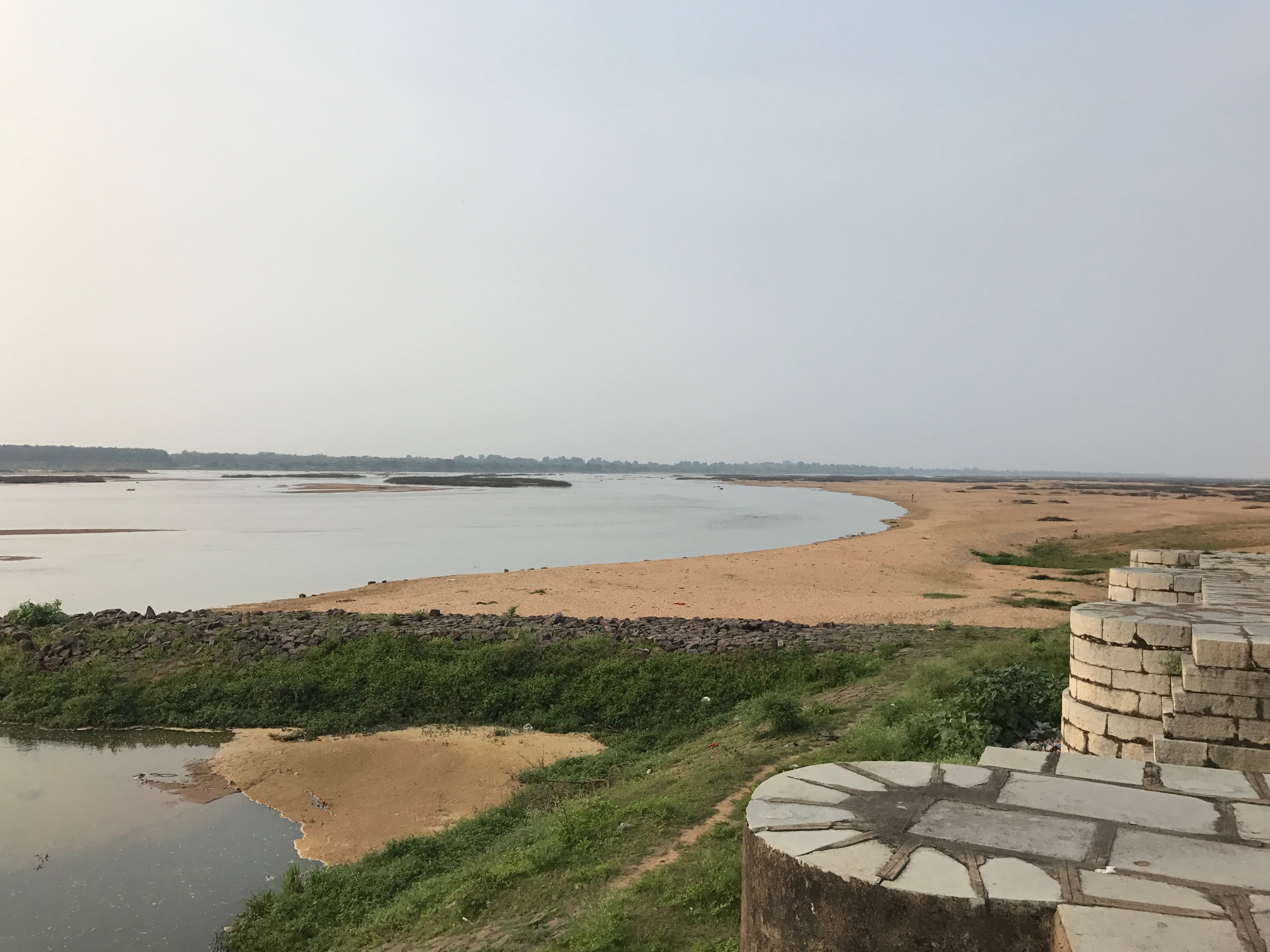 Representative image · Photo: फ़ोटो: Ms Sarah Welch / Wikimedia Commons, CC BY-SA 4.0