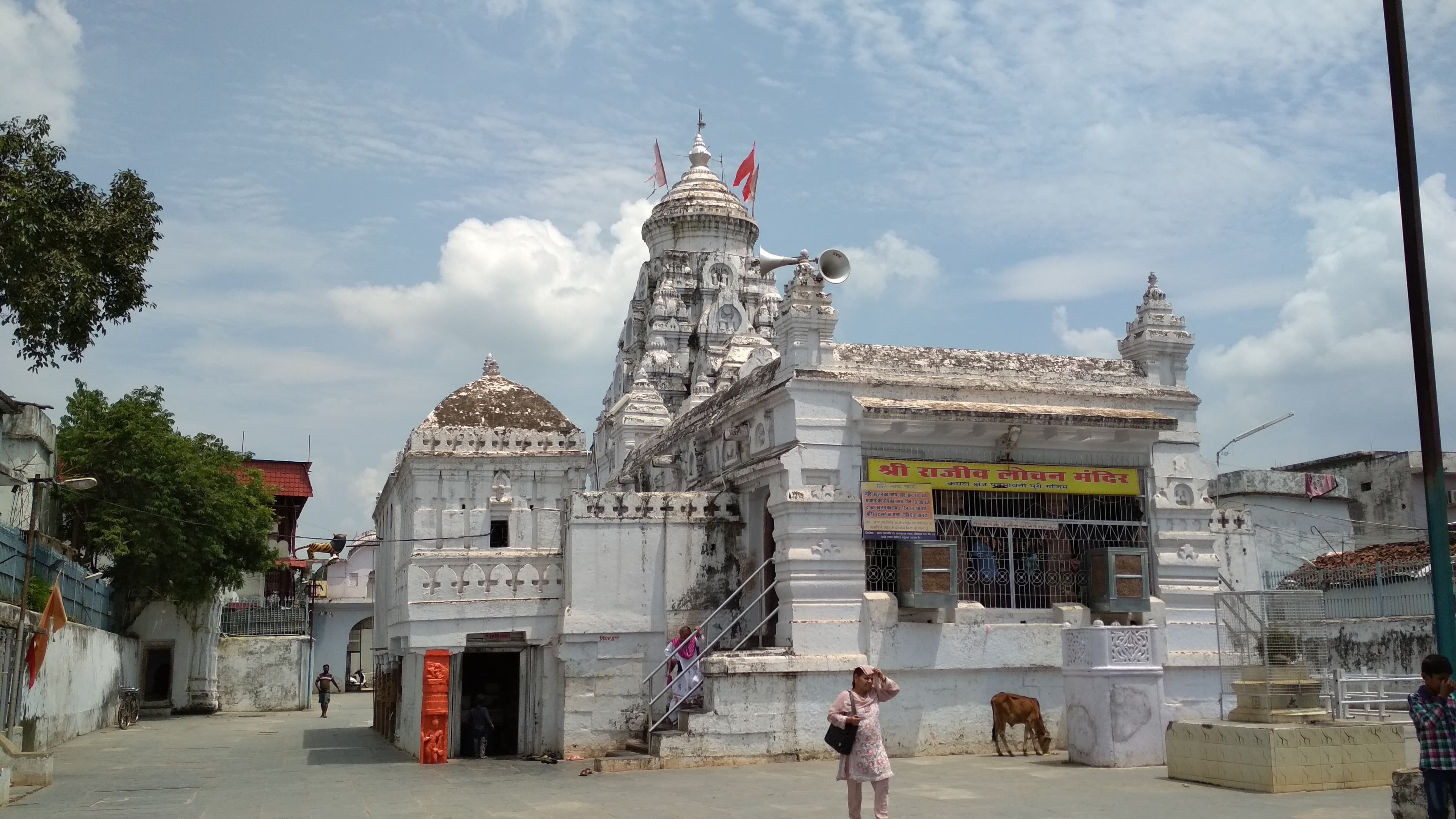Representative image · Photo: फ़ोटो: Abhi91m / Wikimedia Commons, CC BY-SA 4.0