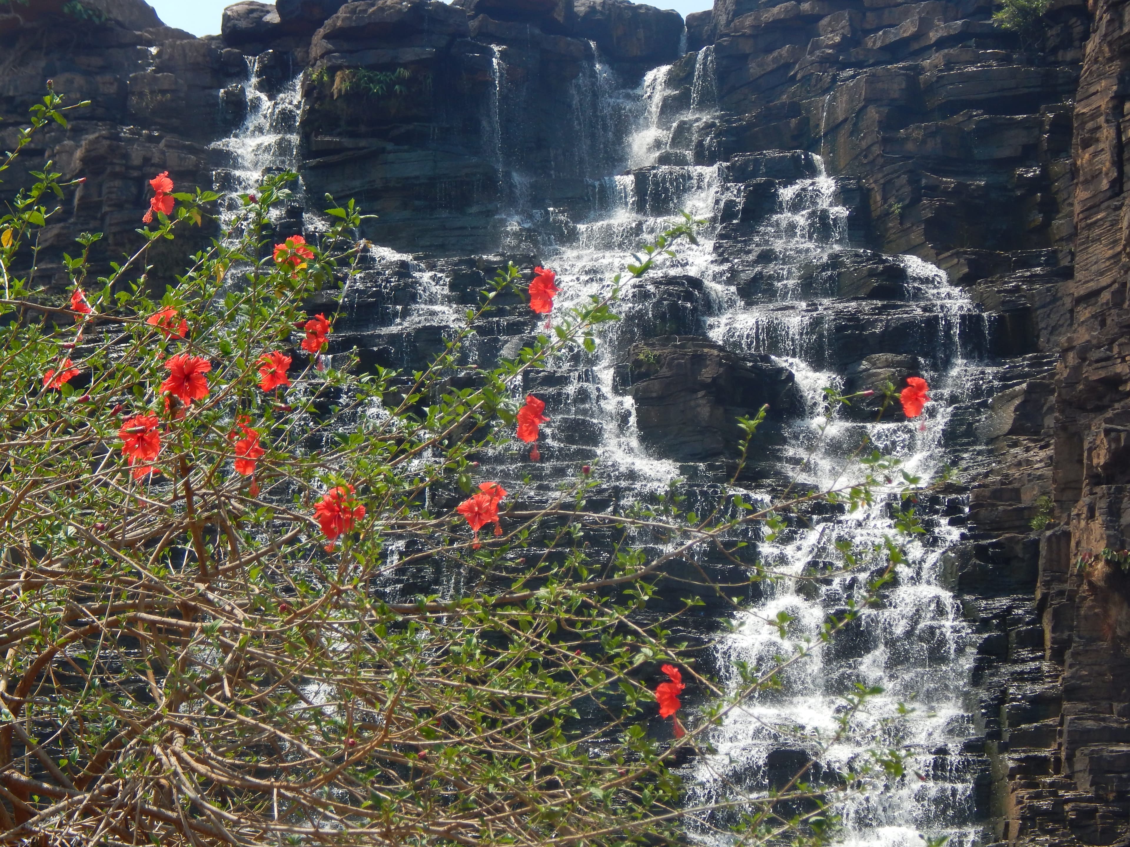 Representative image · Photo: फ़ोटो: Shreyasime / Wikimedia Commons, CC BY-SA 4.0
