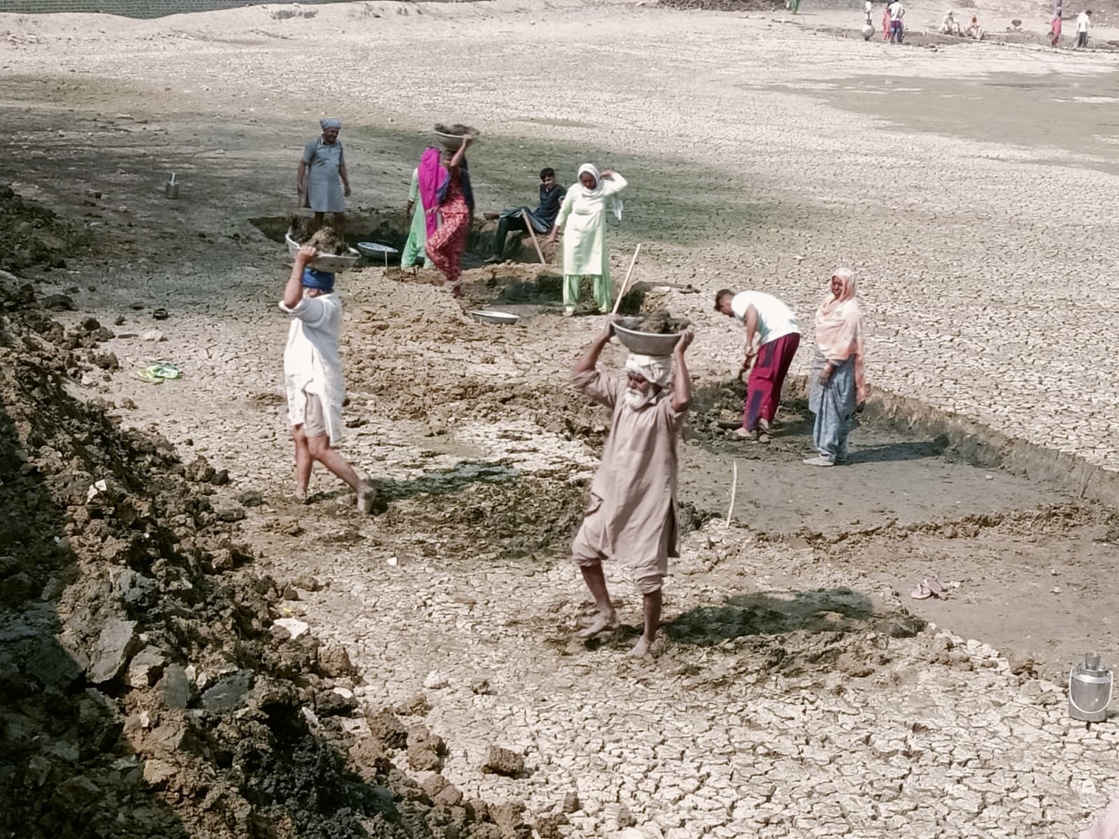 Representative image · Photo: फ़ोटो: Mulkh Singh / Wikimedia Commons, CC BY-SA 4.0