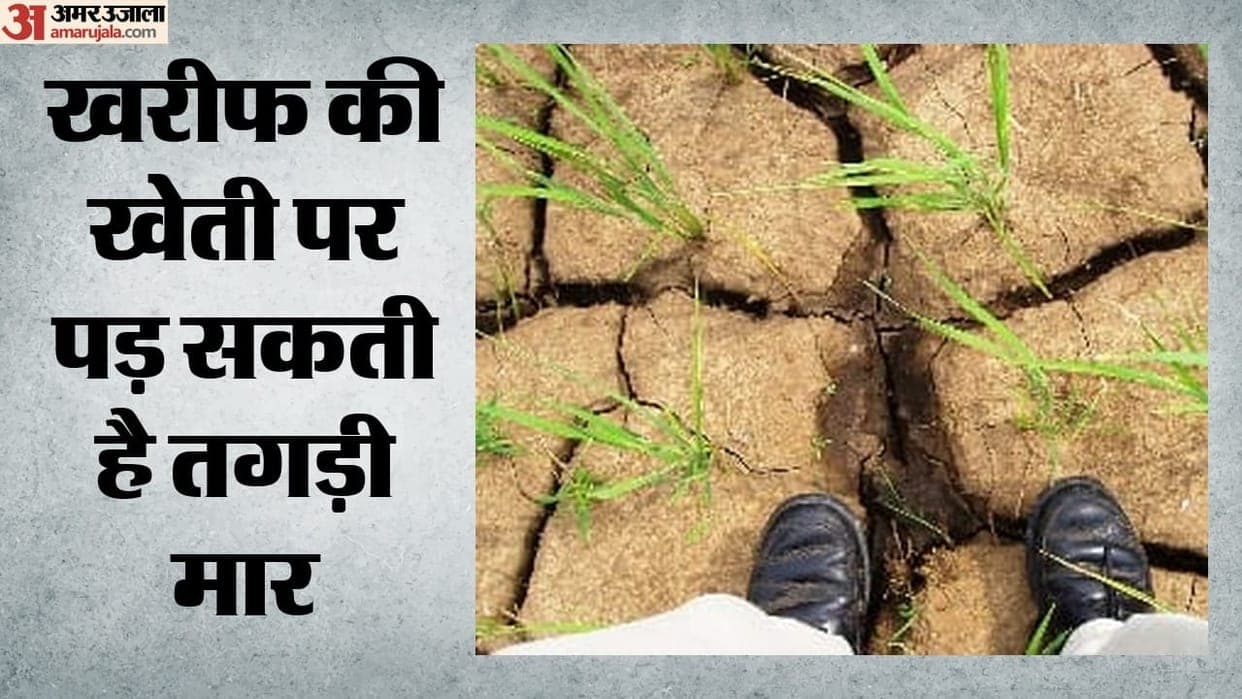 Representative image · Photo: फ़ोटो: amarujala.com