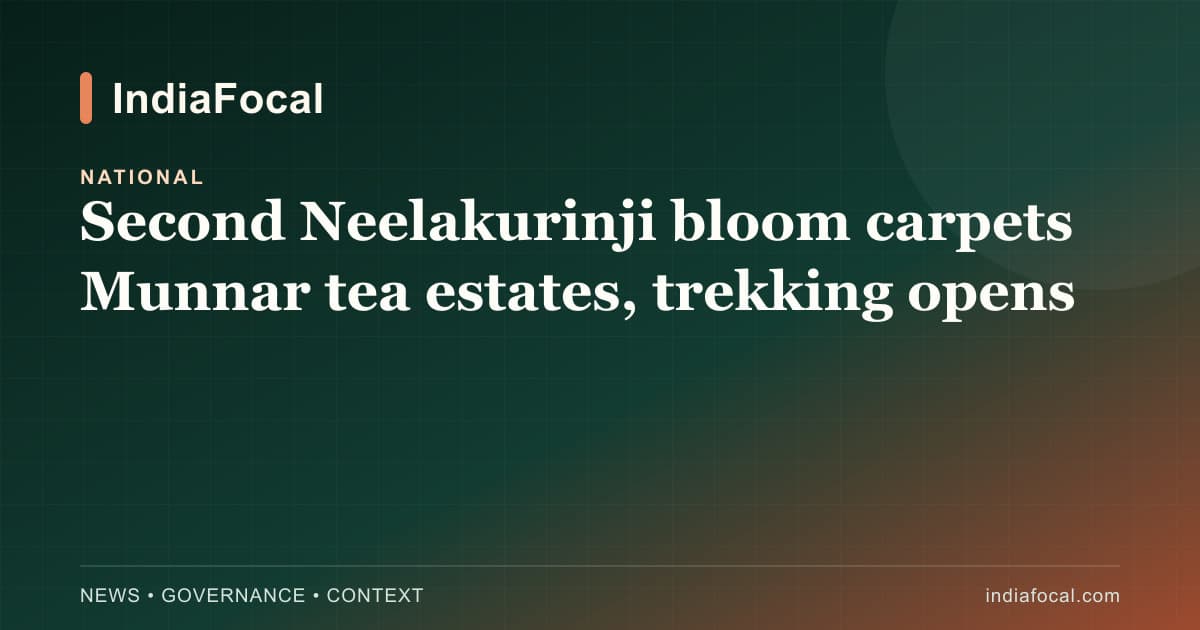 Representative image · Photo: IndiaFocal