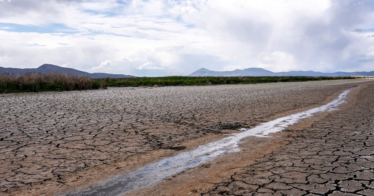 Representative image · Photo: cdn.kpbs.org