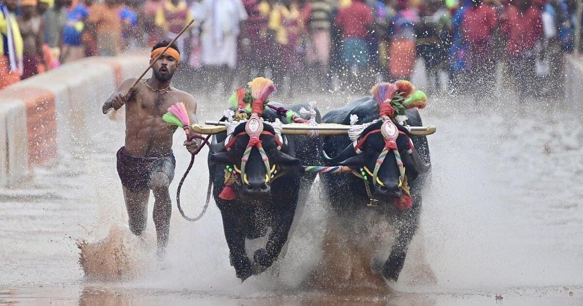 Representative image · Photo: media.assettype.com
