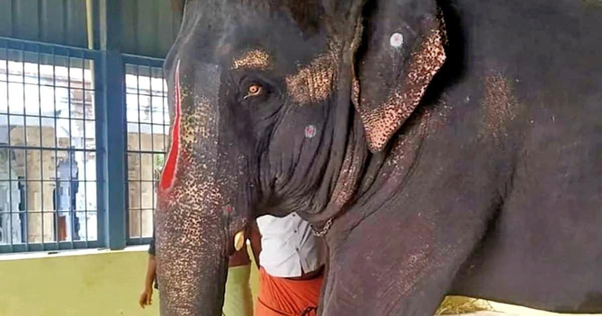 Representative image · Photo: th-i.thgim.com
