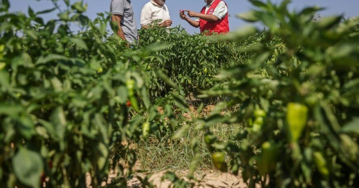 Representative image · Photo: al-monitor.com