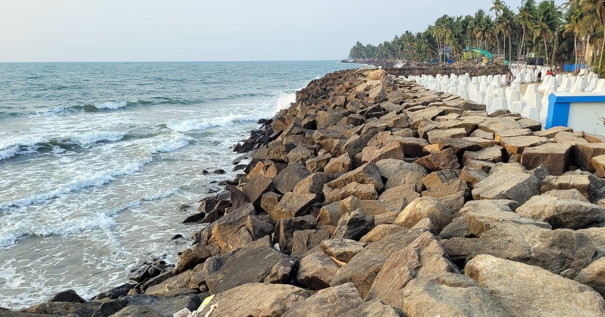Representative image · Photo: imgs.mongabay.com