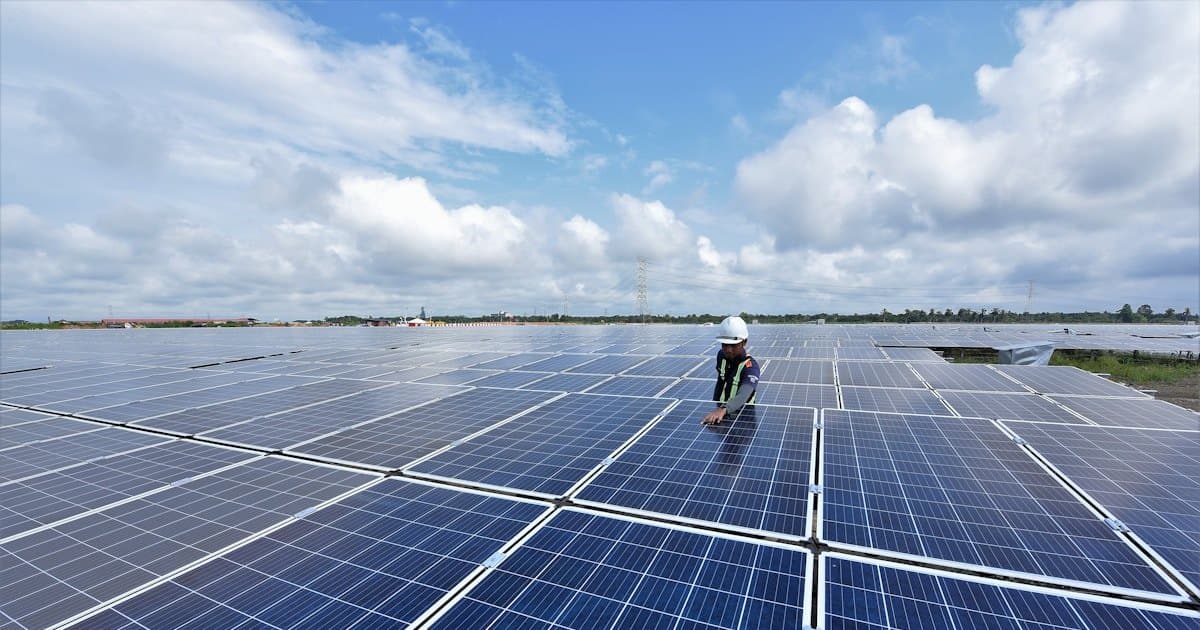 Representative image · Photo: eco-business.imgix.net