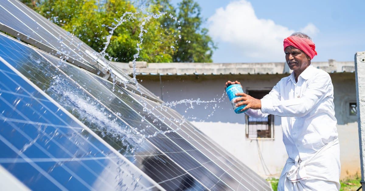 Representative image · Photo: iforest.global