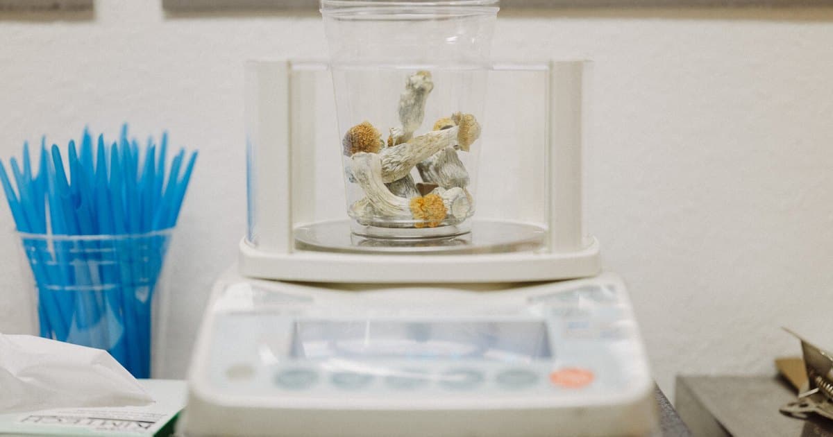 Representative image · Photo: static01.nyt.com