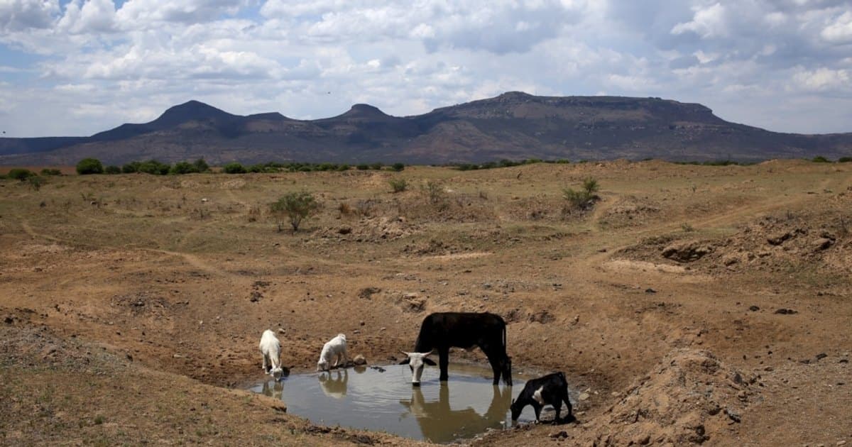 Representative image · Photo: gdb.voanews.com