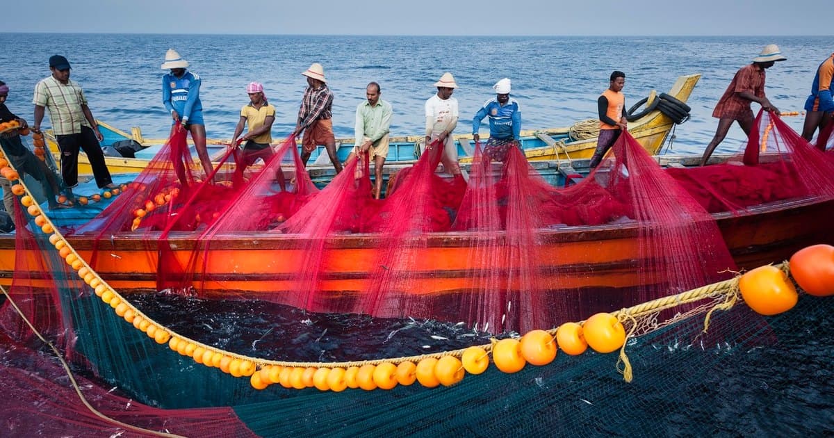 Representative image · Photo: s3.ap-south-1.amazonaws.com