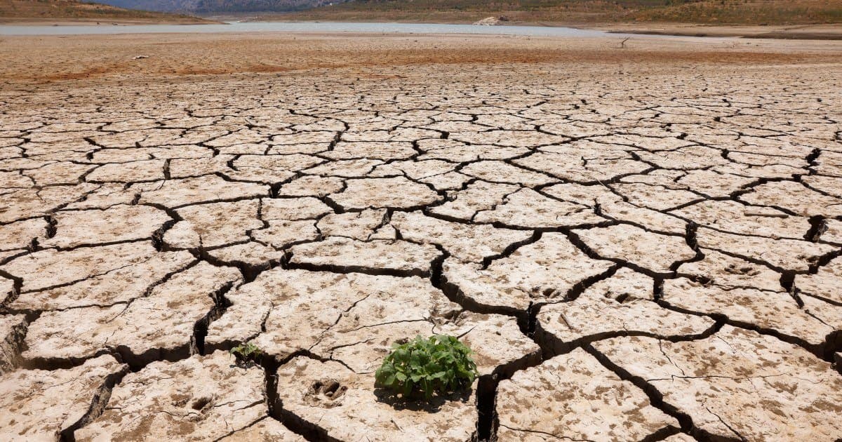 Representative image · Photo: aljazeera.com